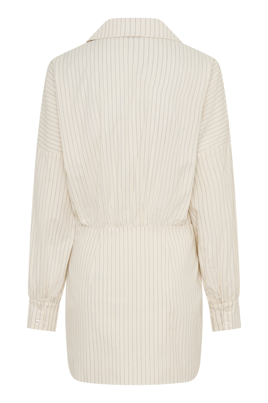 Ivy Shirt Mini Dress