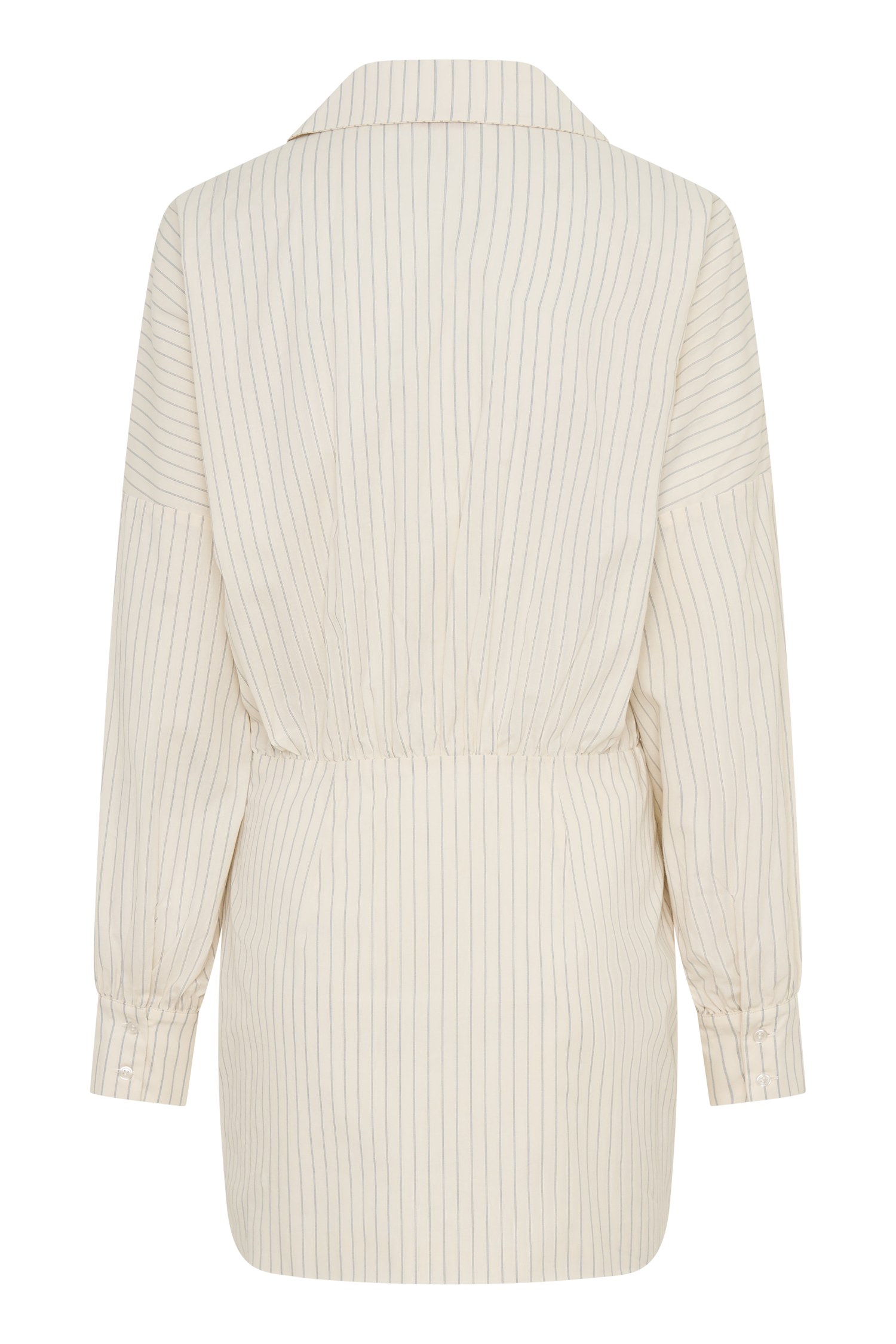 Ivy Shirt Mini Dress
