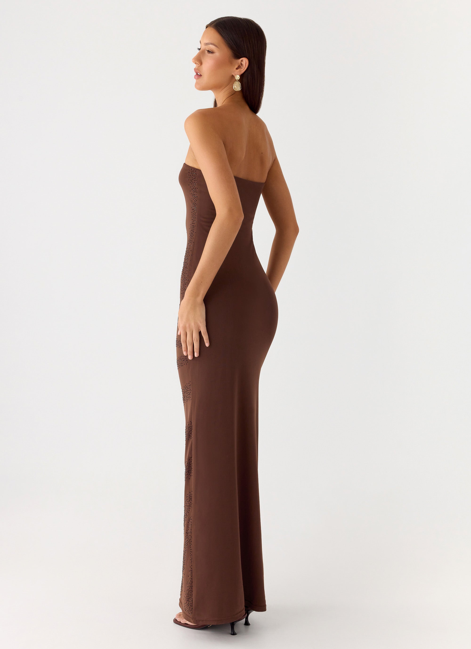 Belisse Beaded Mesh Maxi Dress Chocolate